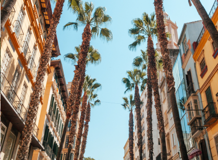 Rue ensoleillée du sud de la France bordée de façades colorées et de terrasses, symbole de l’art de vivre méditerranéen et du coliving au soleil.